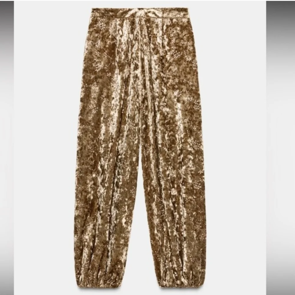 ZARA VELVET BALLOON PANTS